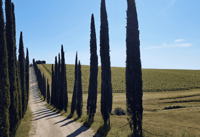 to- rtuscany 1